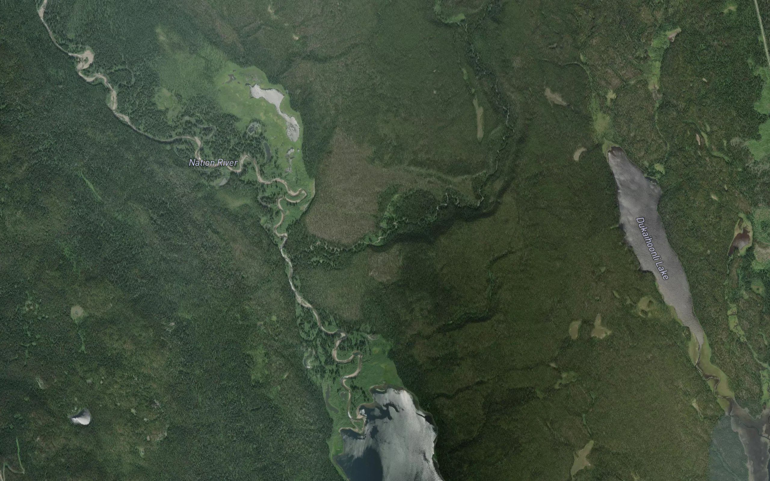 Halobia Creek