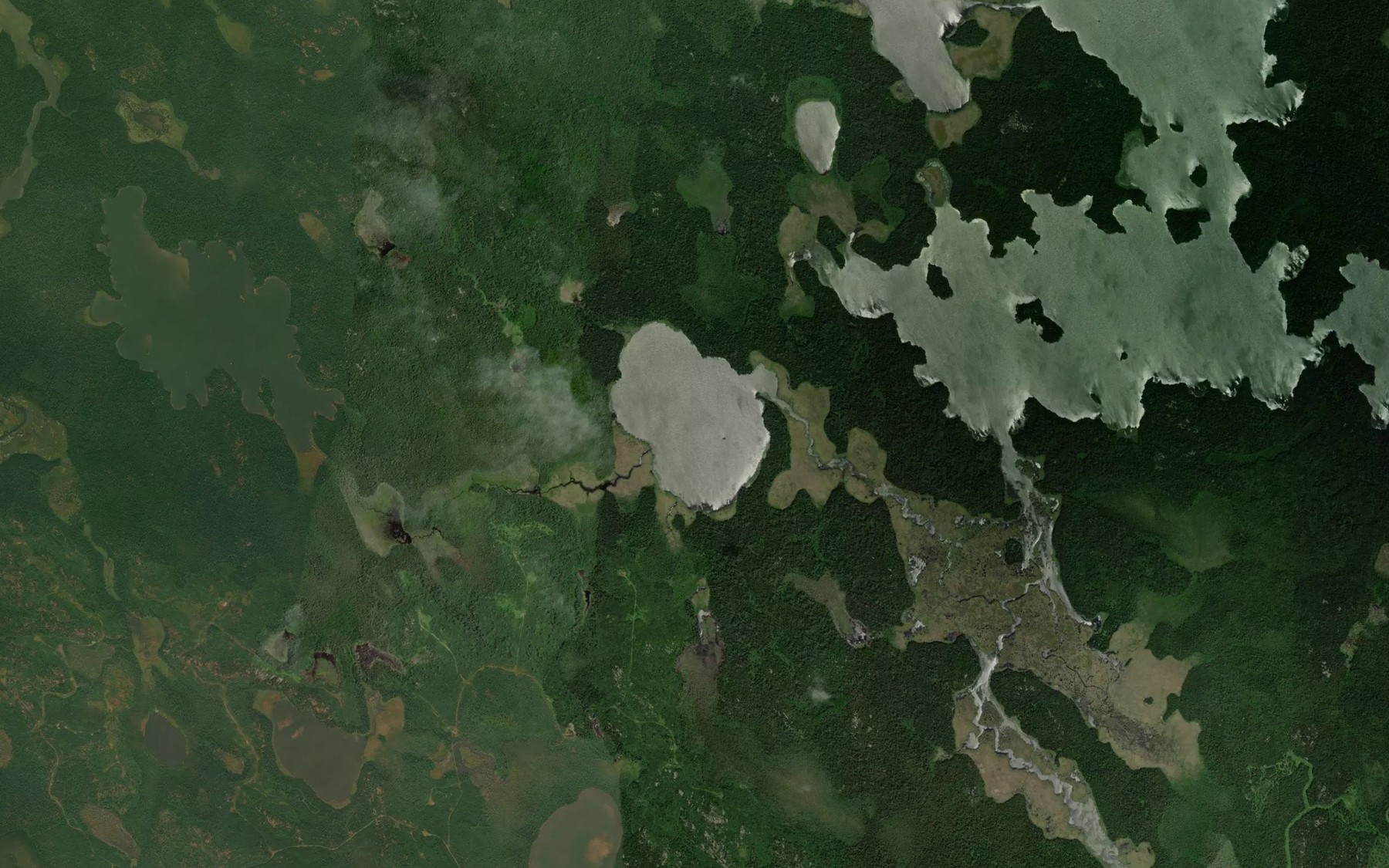 Satellite map of the Pitt Lake