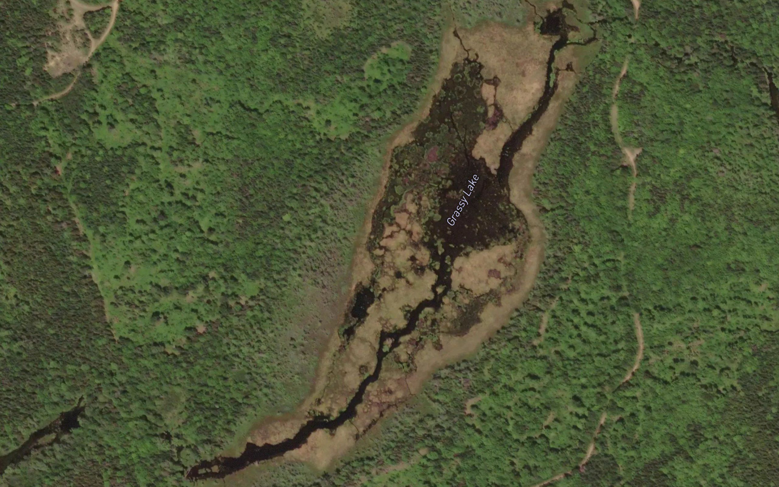 Grassy Lake