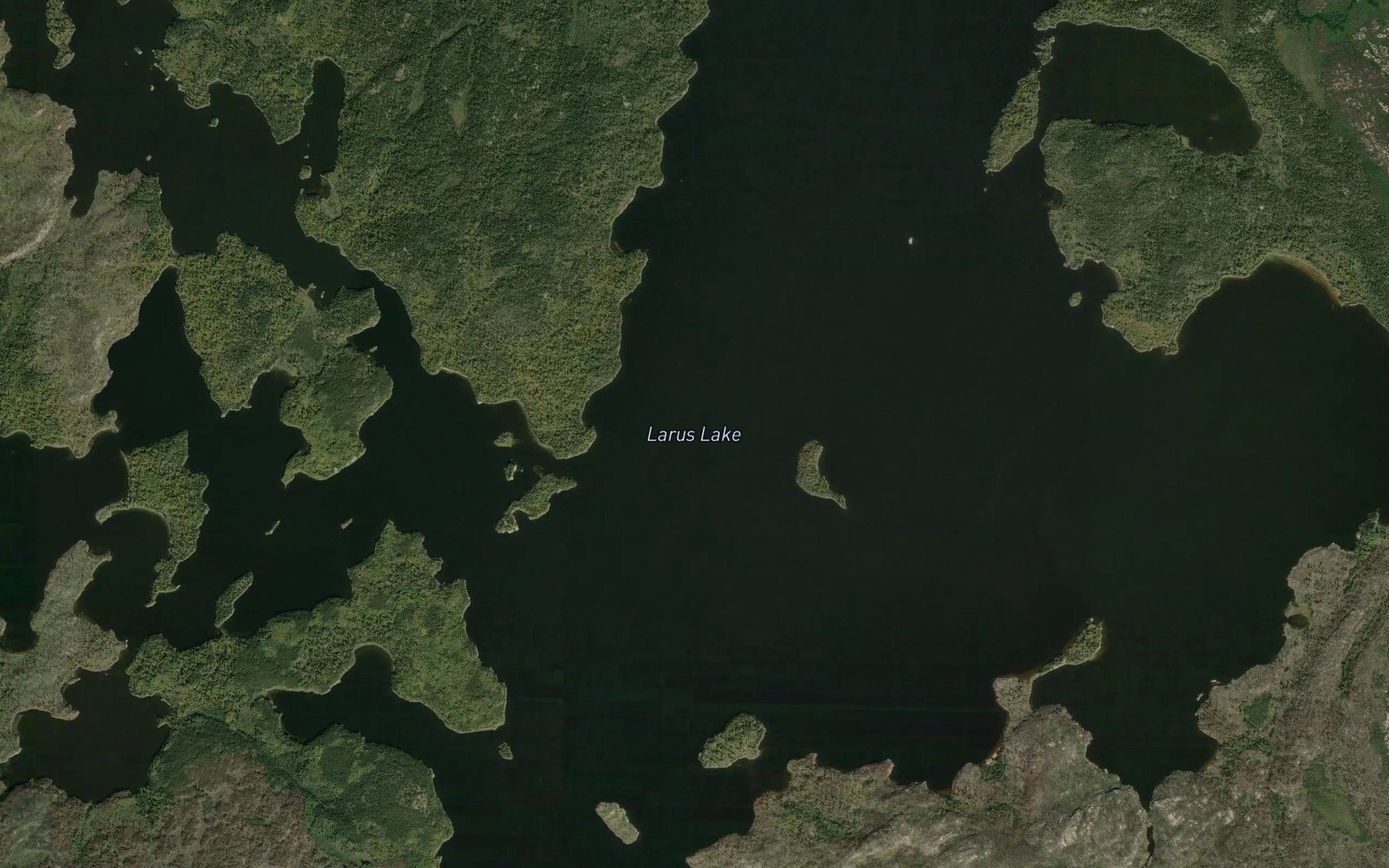 Satellite map of the Larus Lake