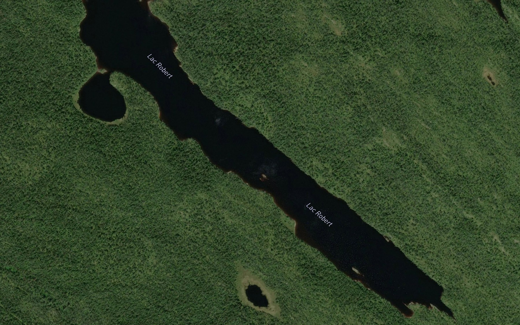 Satellite map of the Lac Robert