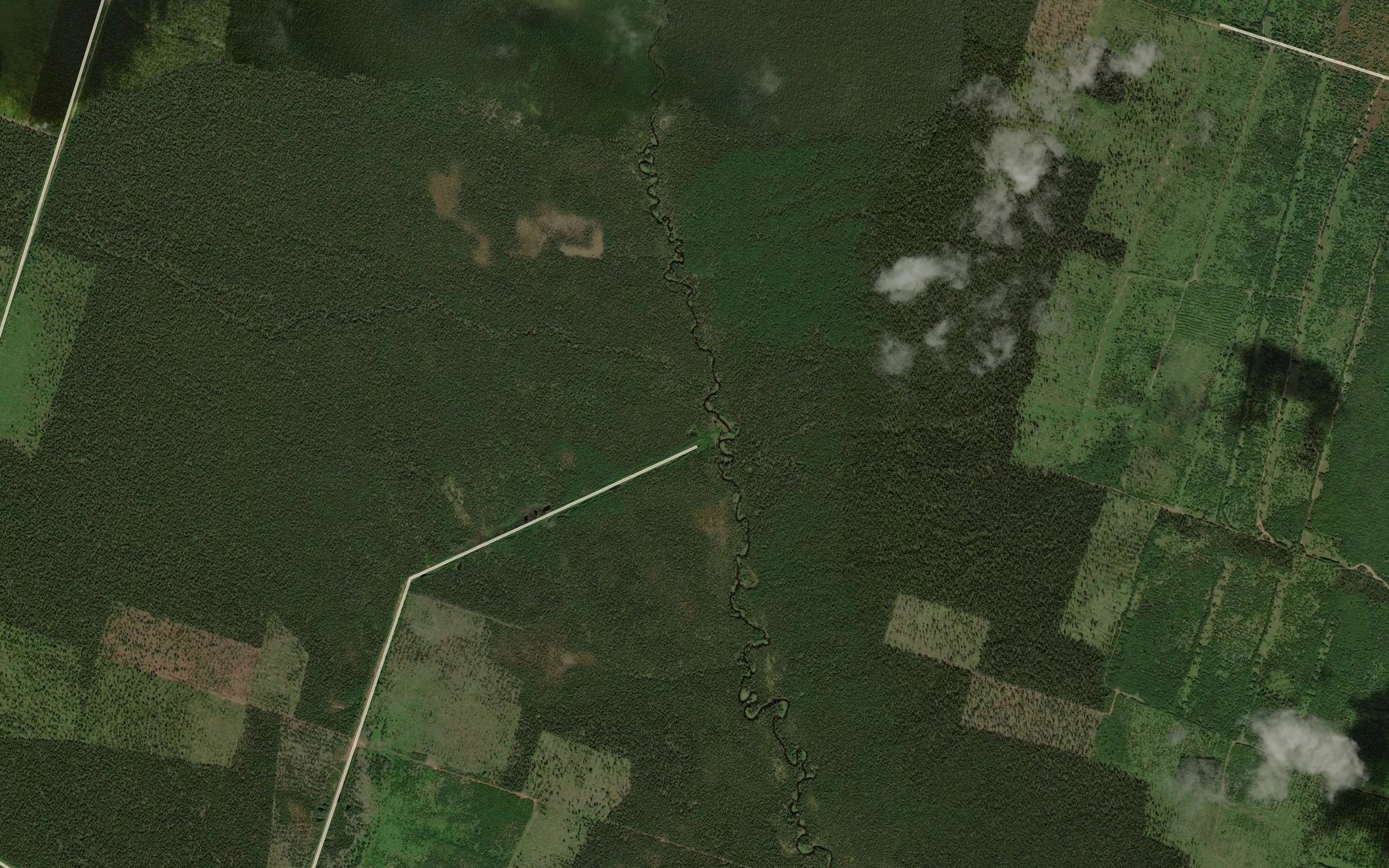 Satellite map of the Gornaya