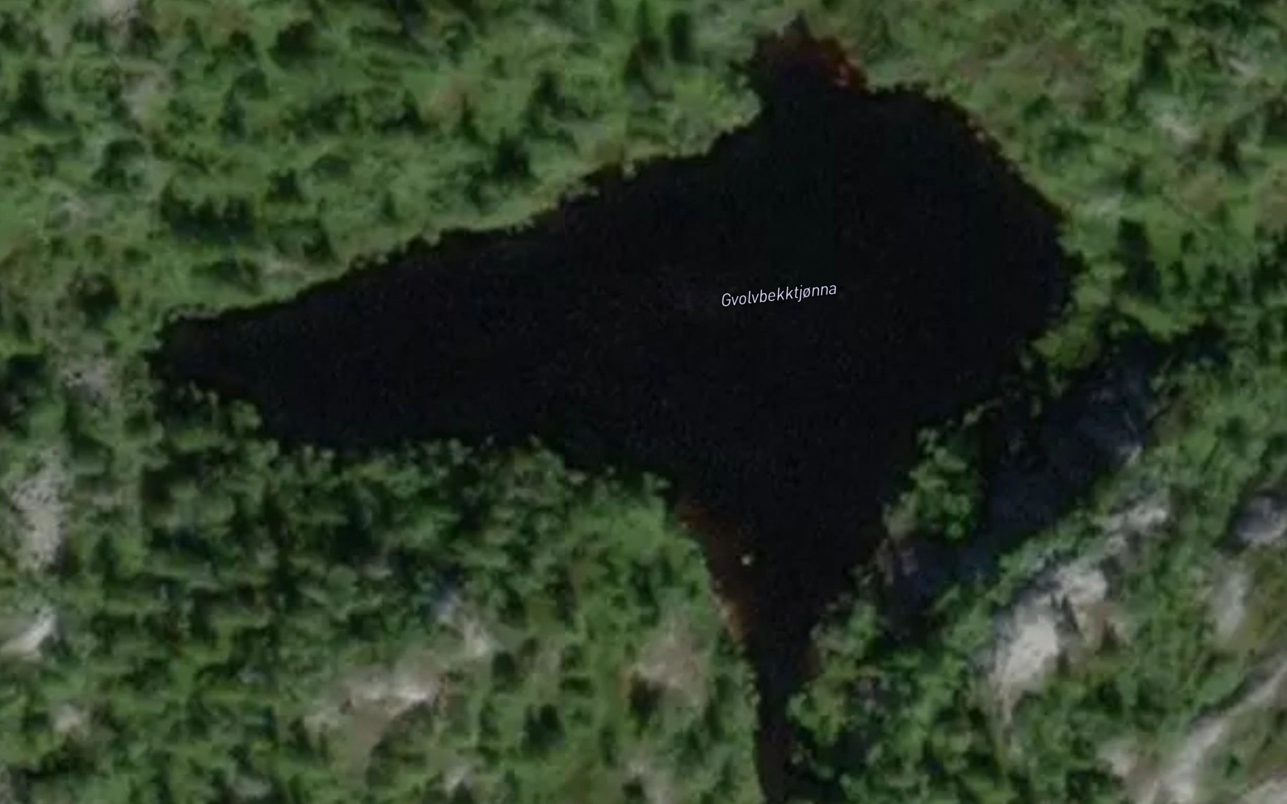 Gvolvbekktjonna