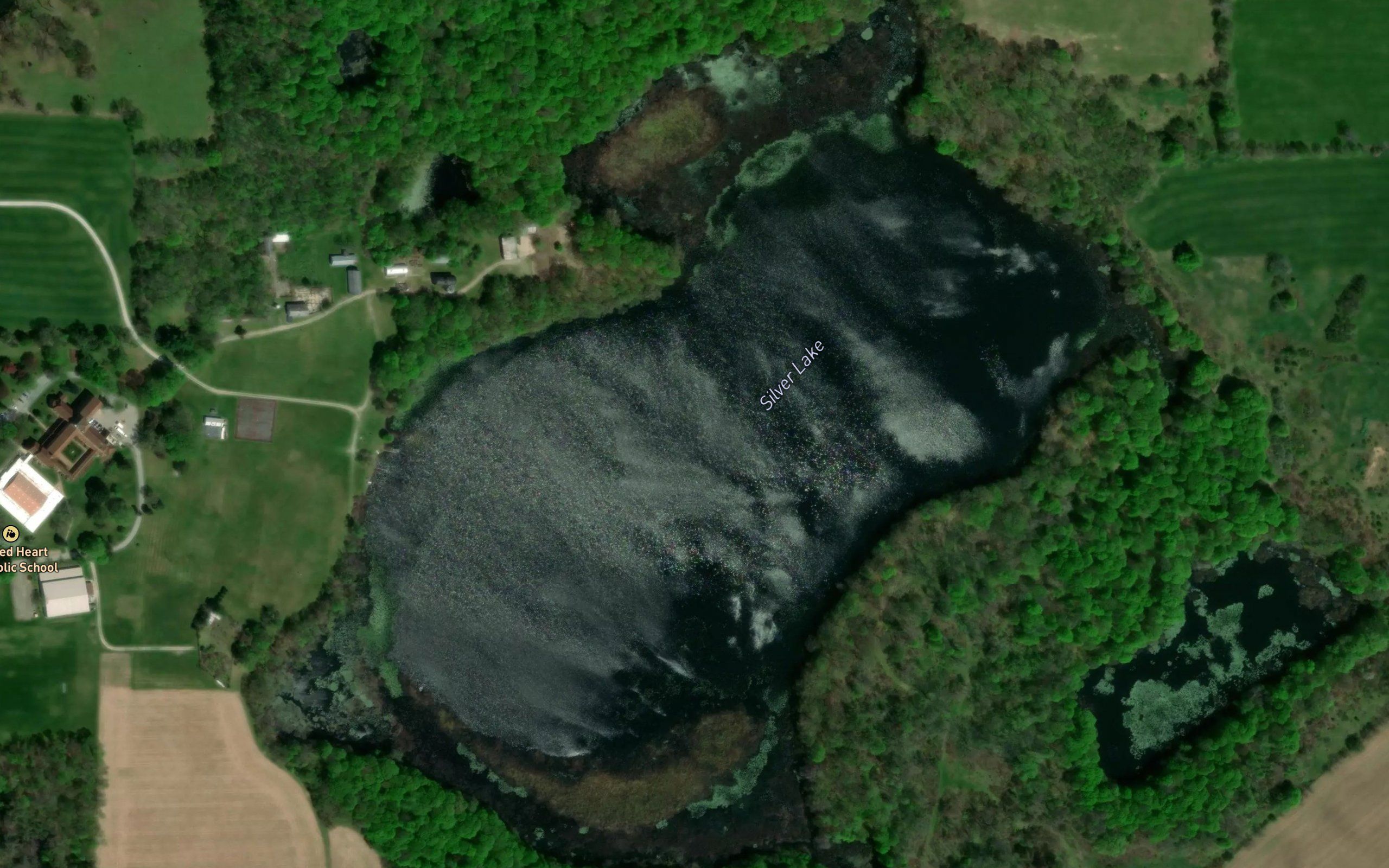 Silver Lake