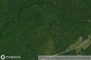 South Branch Tweedie Brook