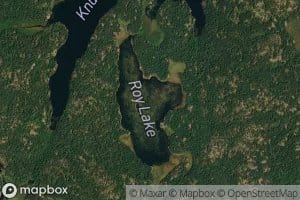 Roy Lake