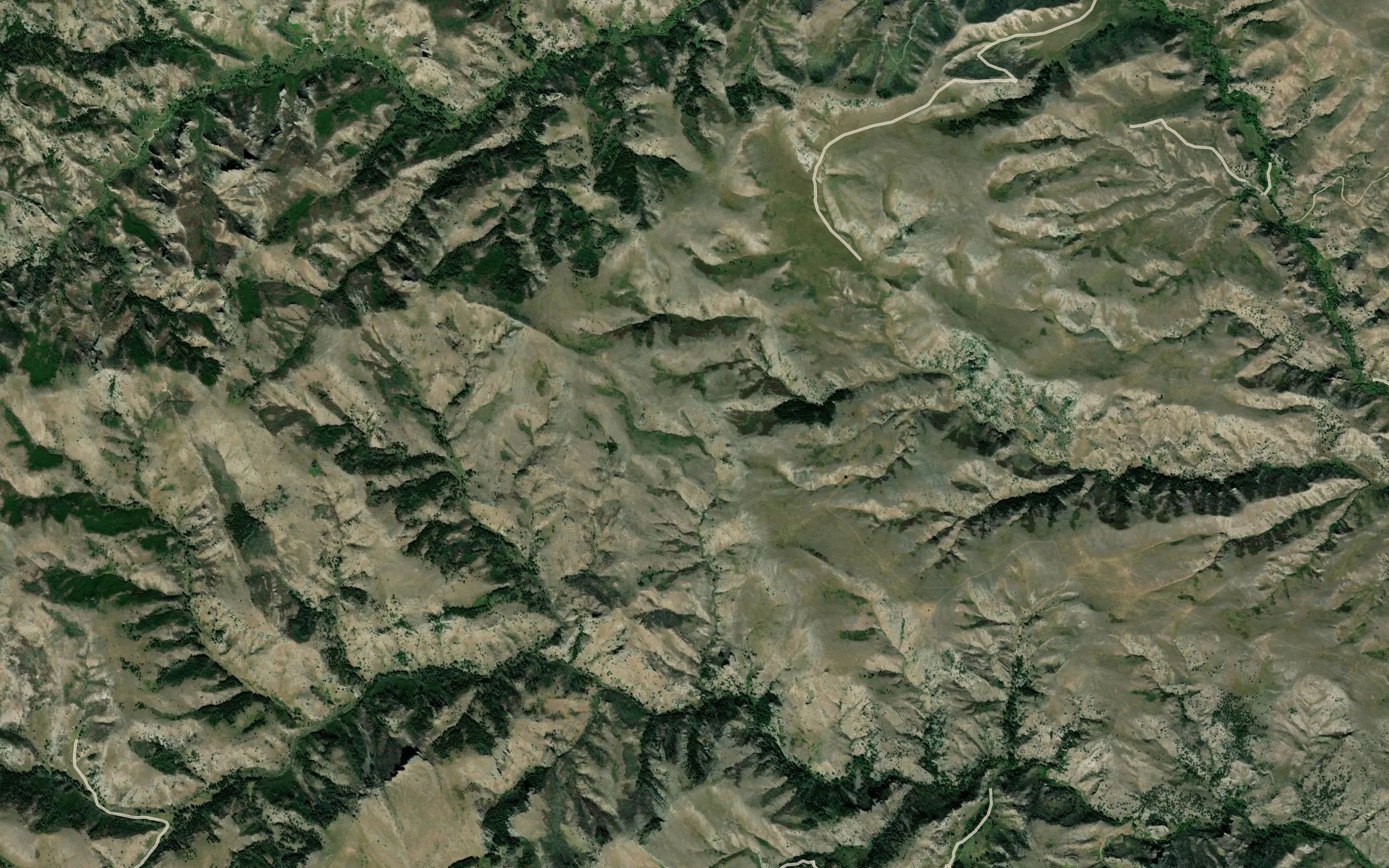 Boundary Draw Spring