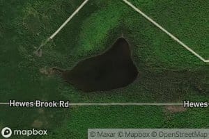 Fourth Pelletier Brook Lake