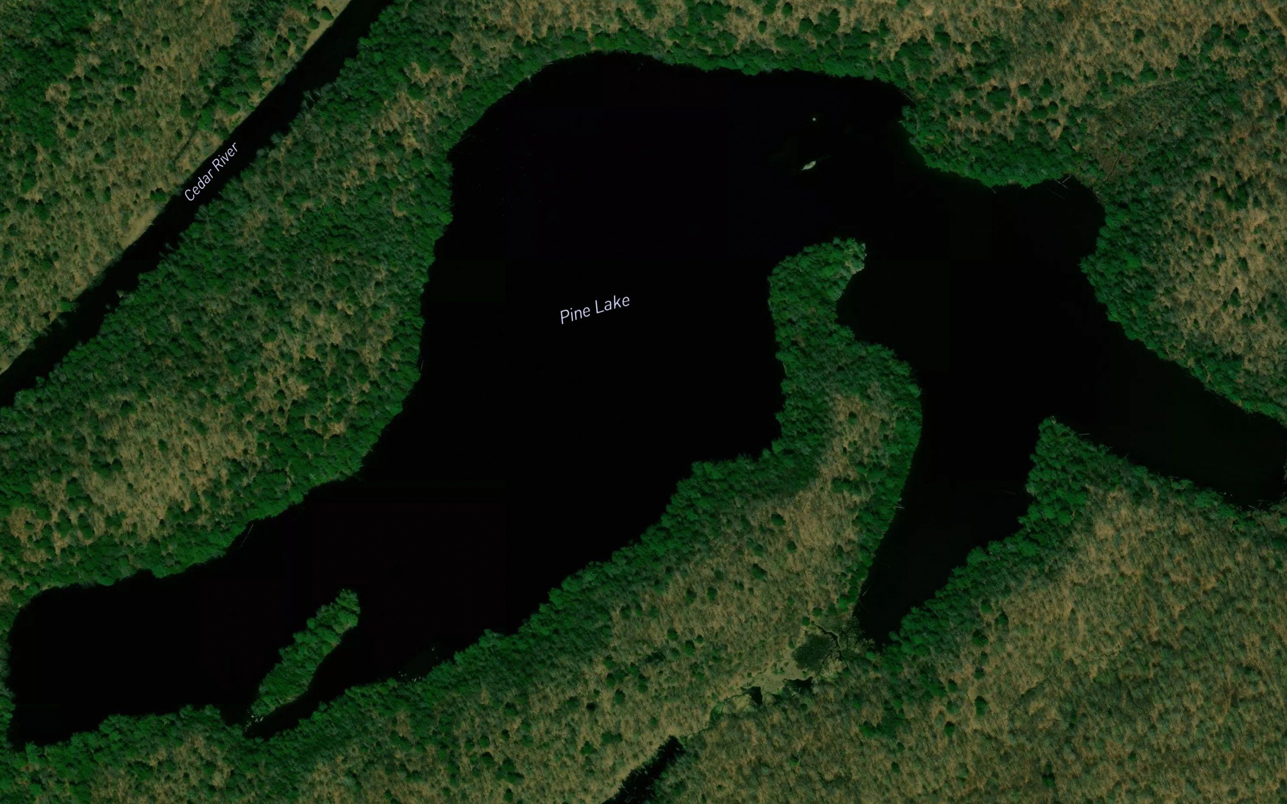 Pine Lake