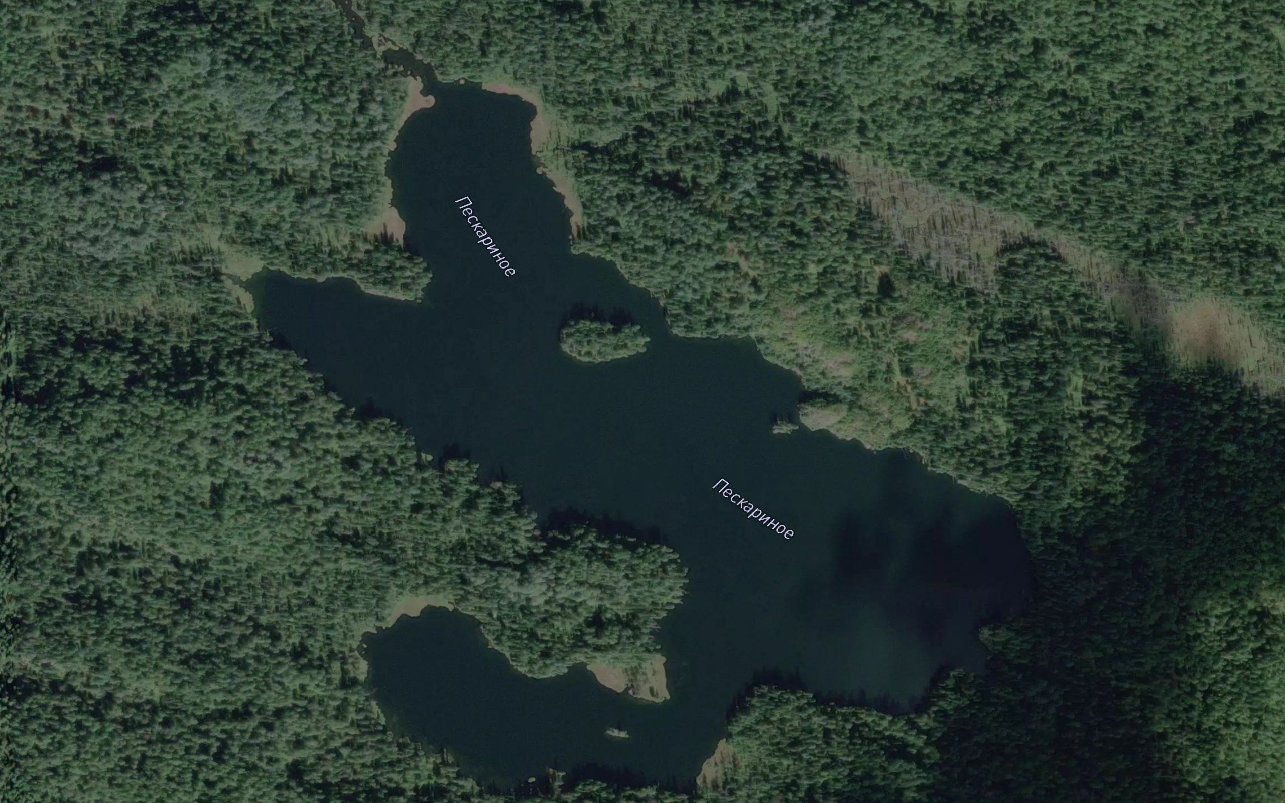 Ozero Peskarinoye