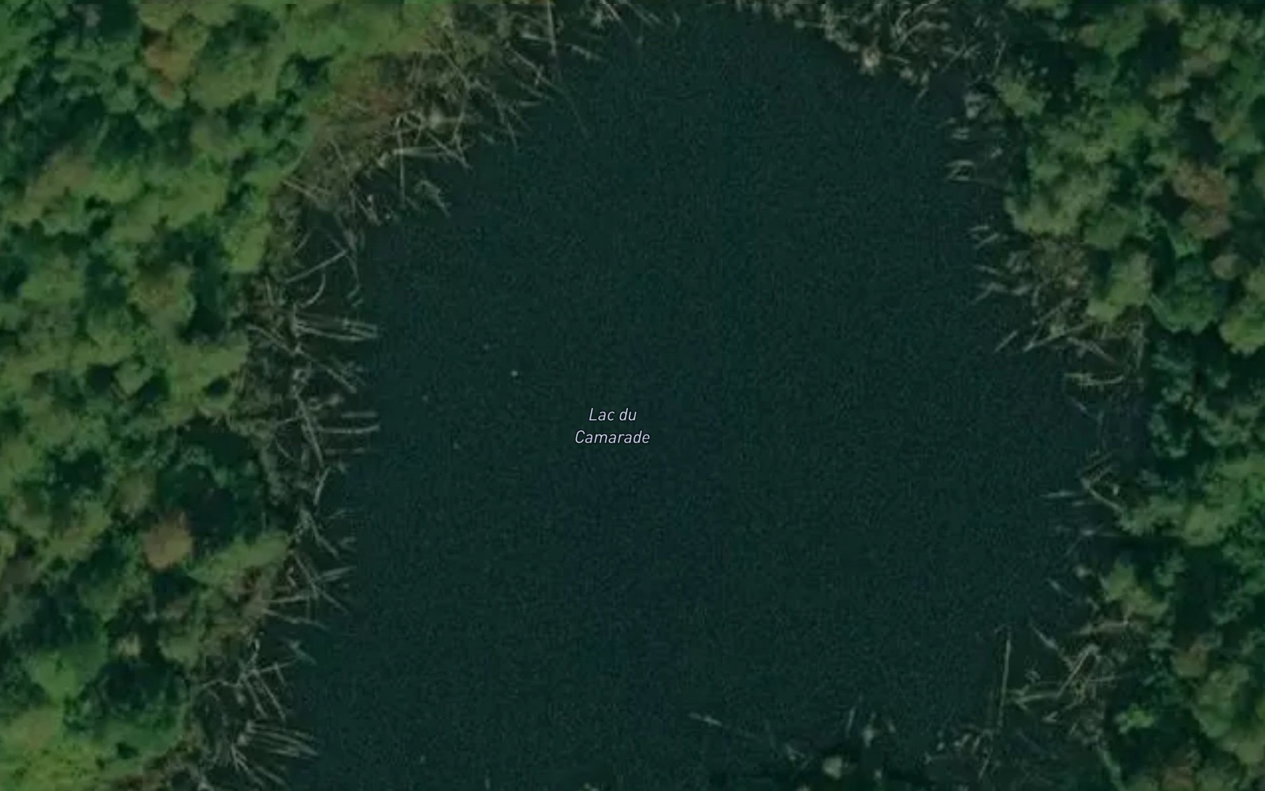 Satellite map of the Lac du Camarade