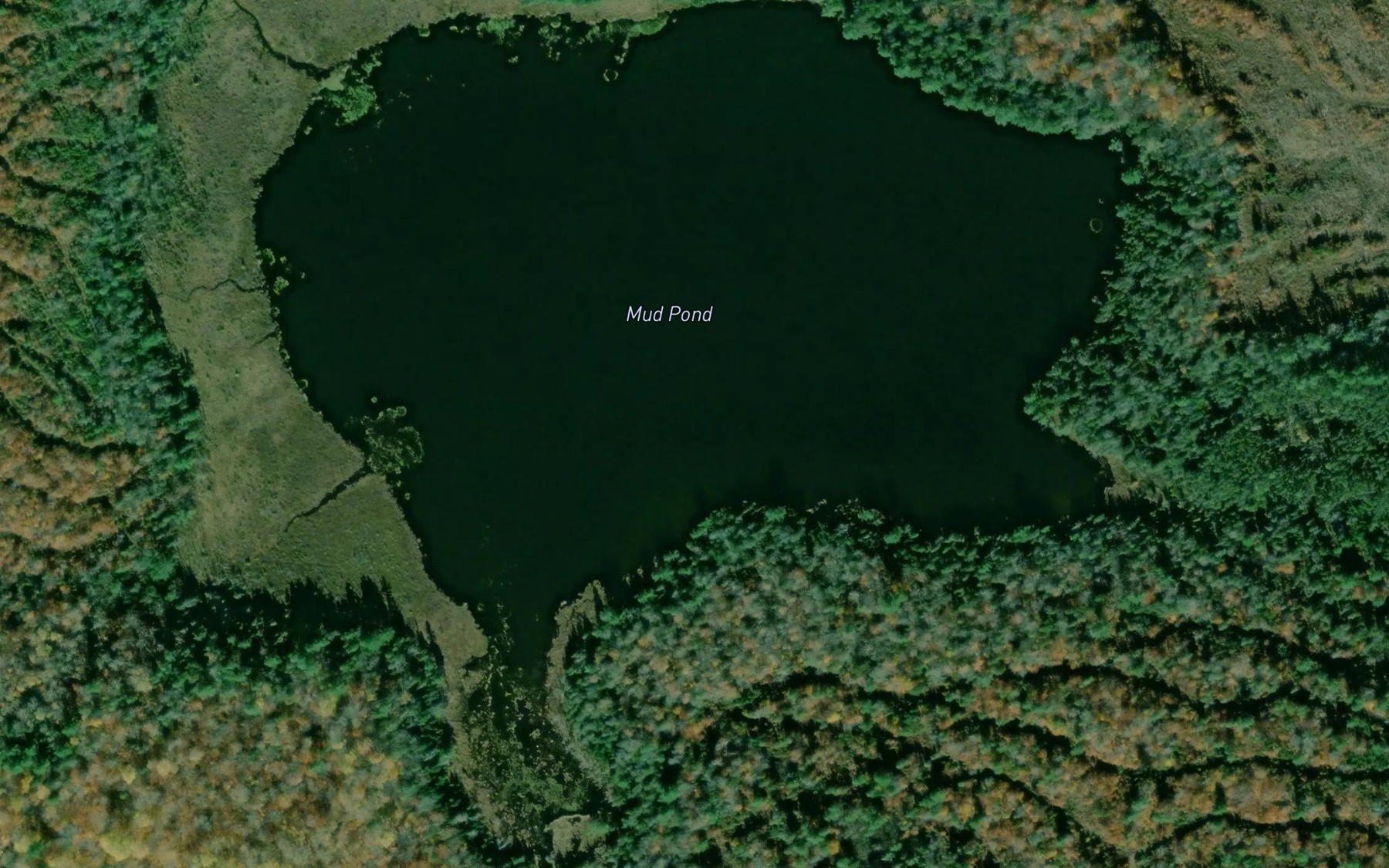 Satellite map of the Mud Pond