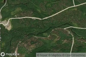 South Branch Brassua Stream