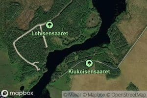 Kiukoinen
