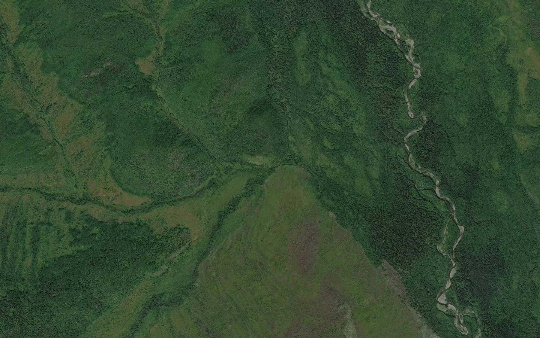 Satellite map of the Levyy Dzhyukoty