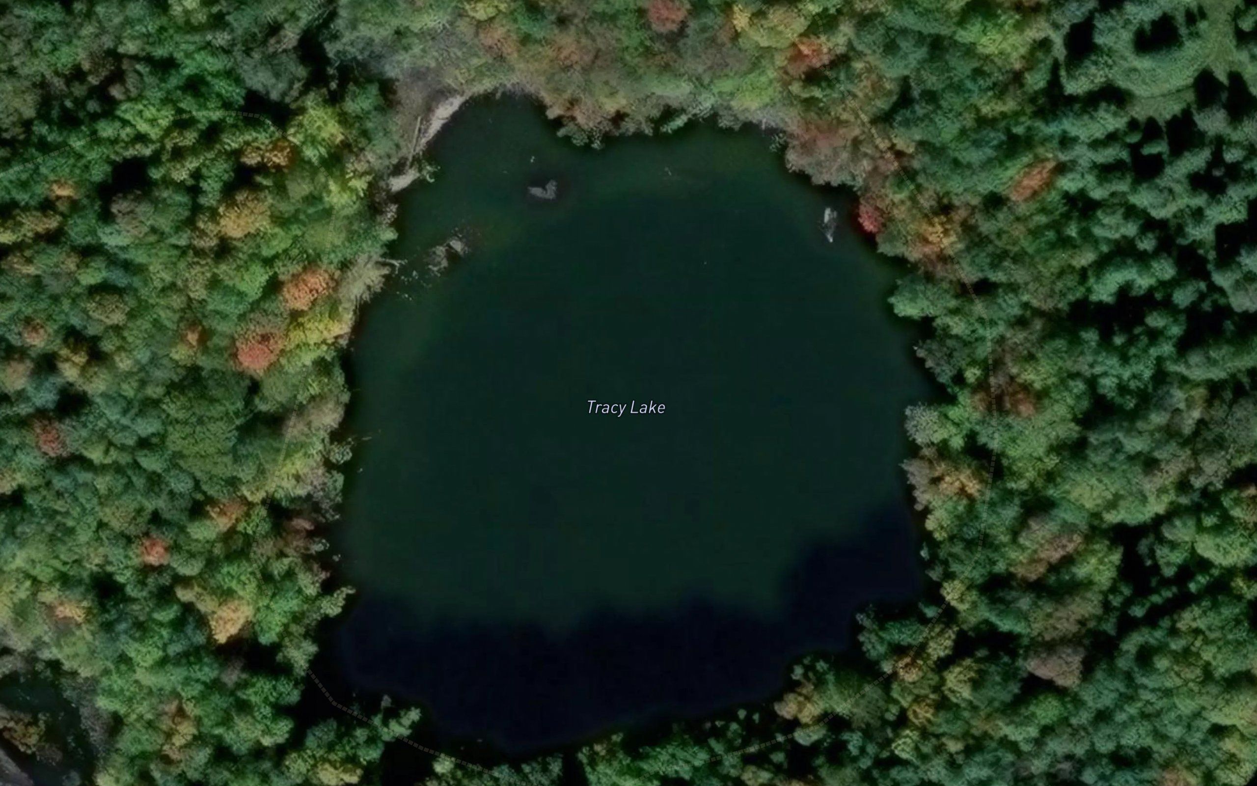 Tracy Lake