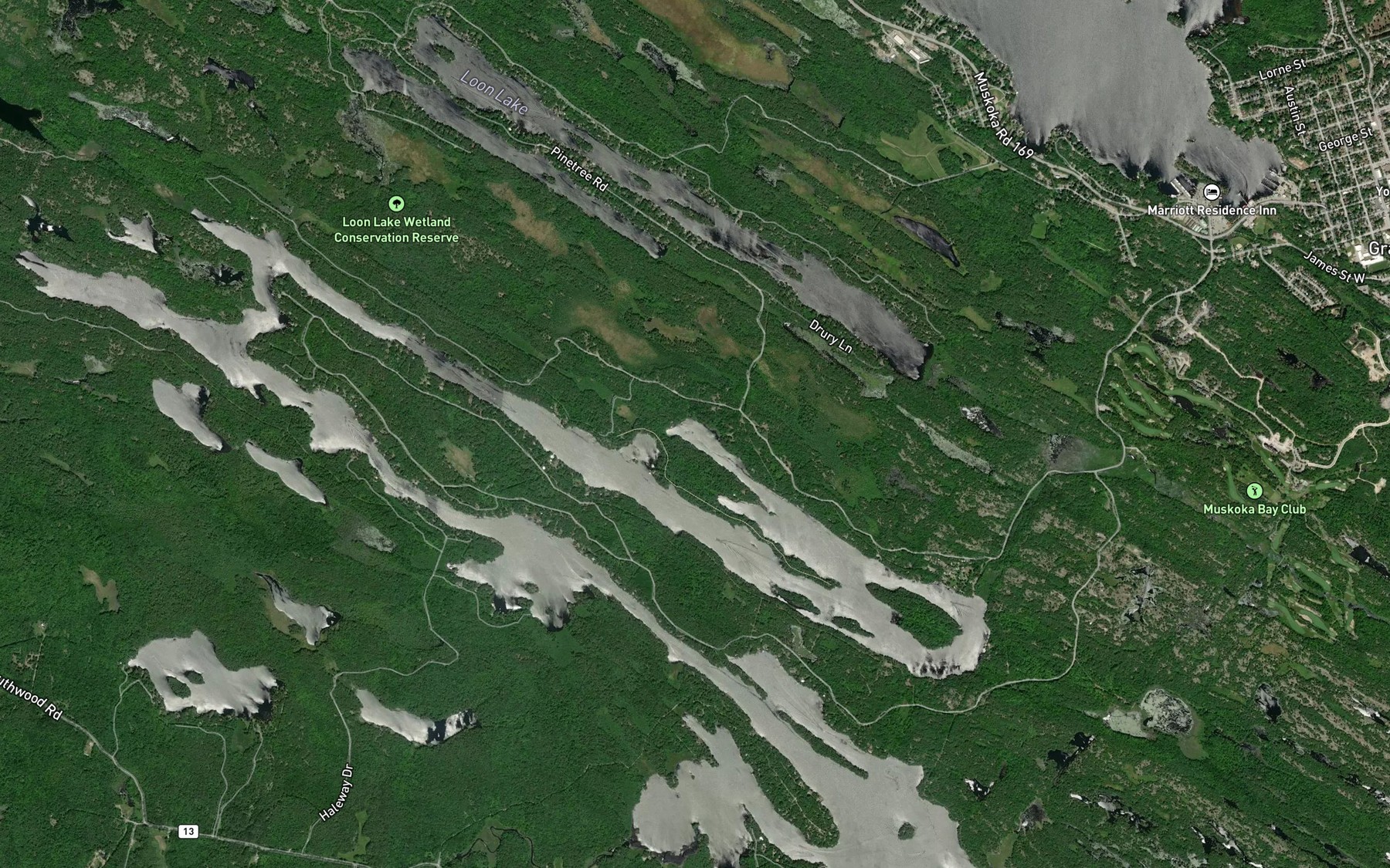 Satellite map of the Wood's Bay
