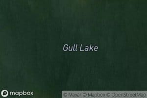 Gull Lake