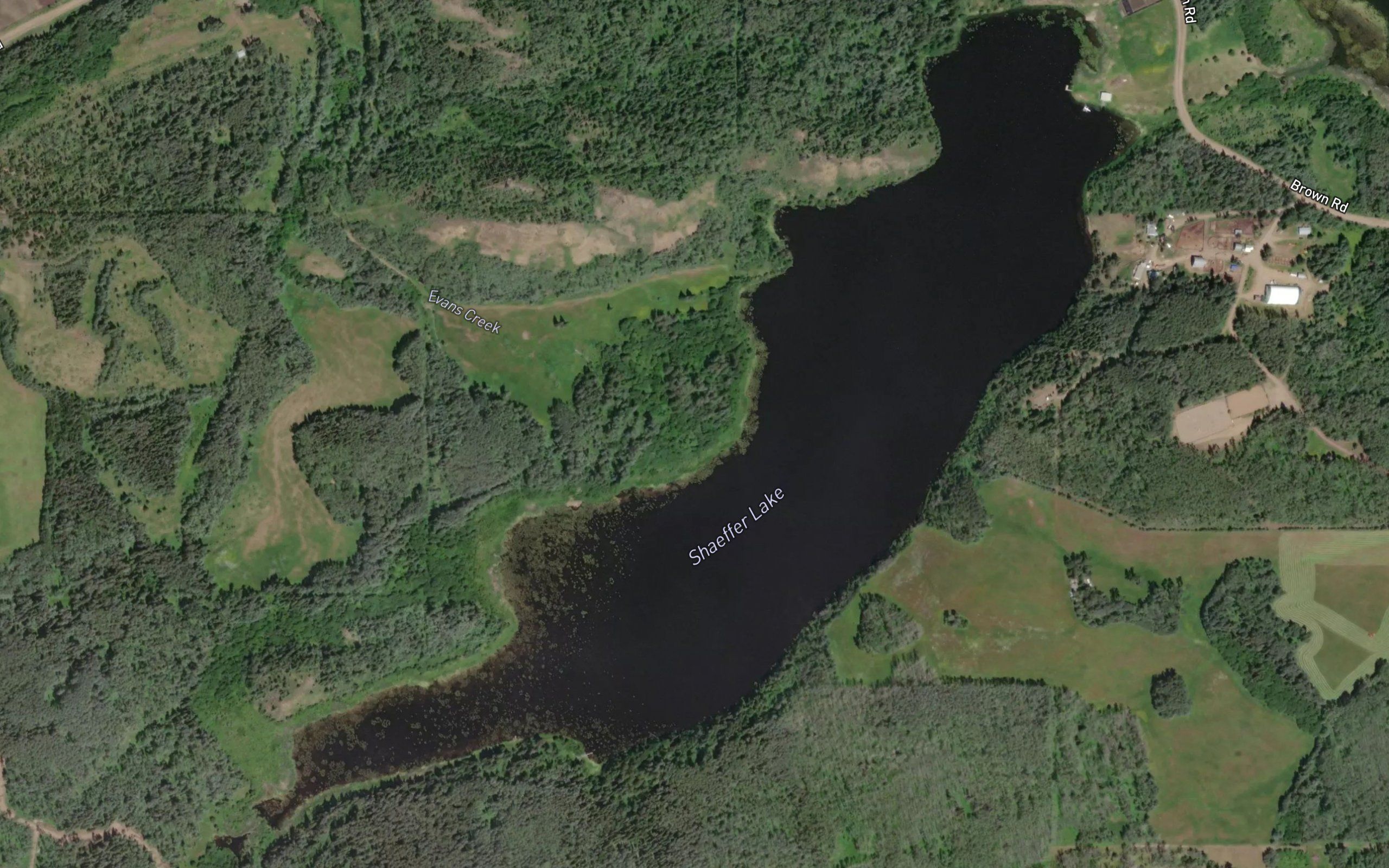 Shaeffer Lake