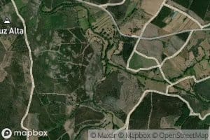 Ribeiro das Colesmas