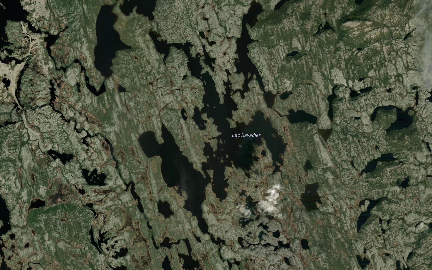 Satellite map of the Lac Savadier