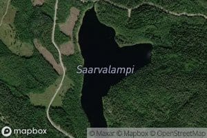 Saarvalampi