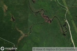 Bear Brook