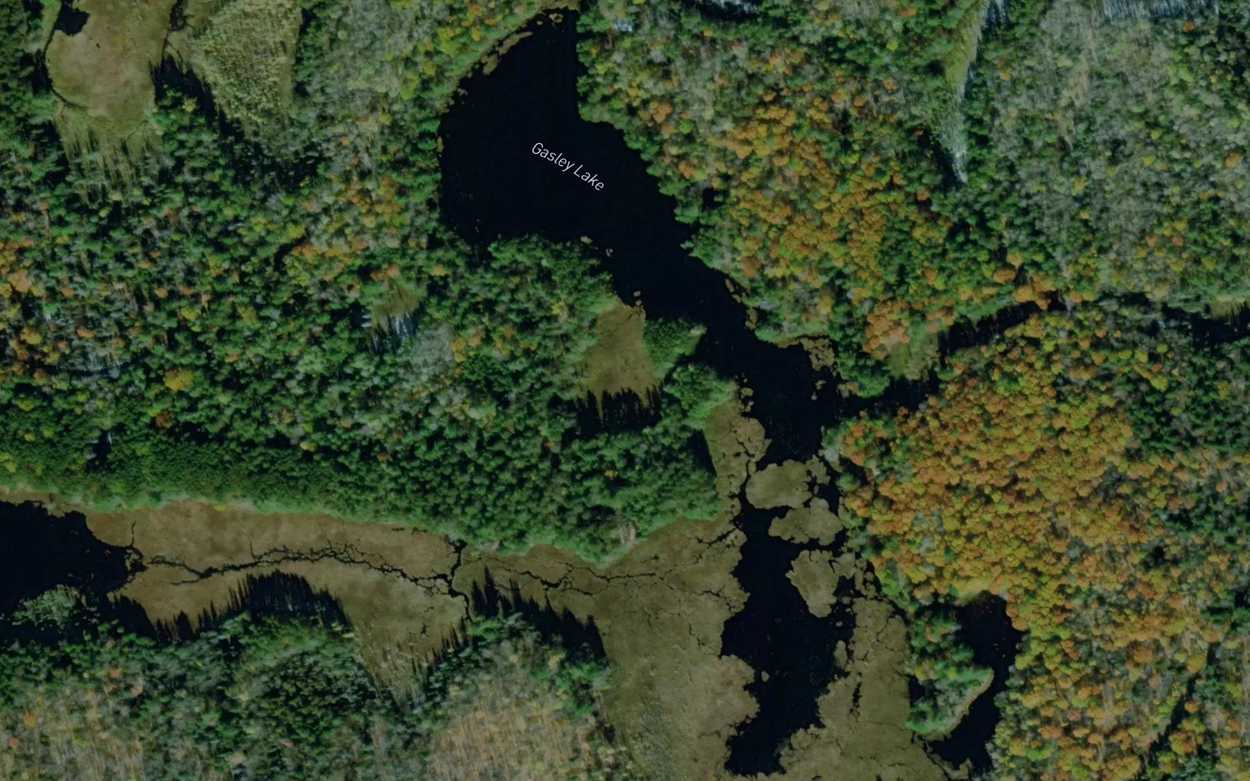 Satellite map of the Gasley Lake