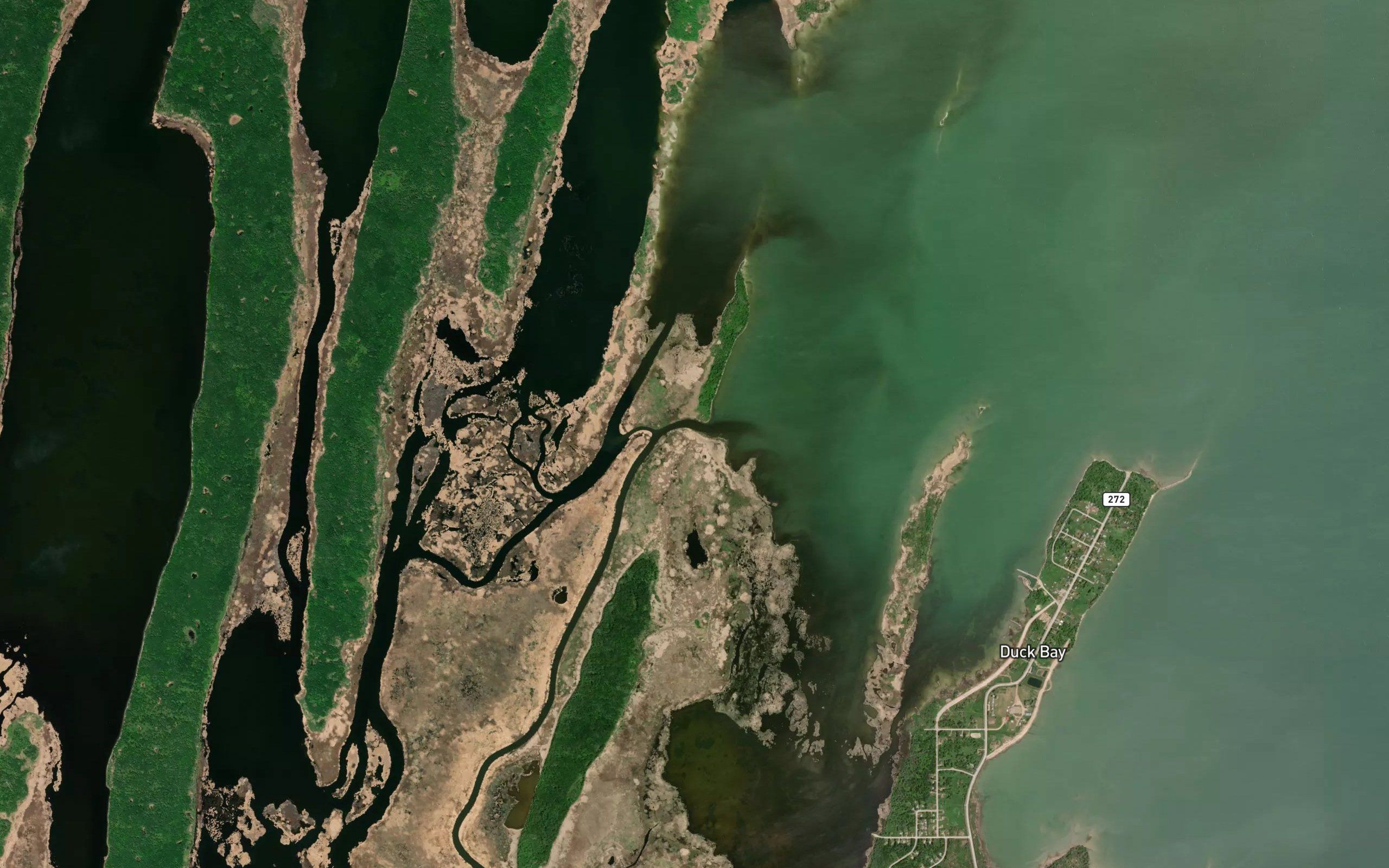 North Duck River