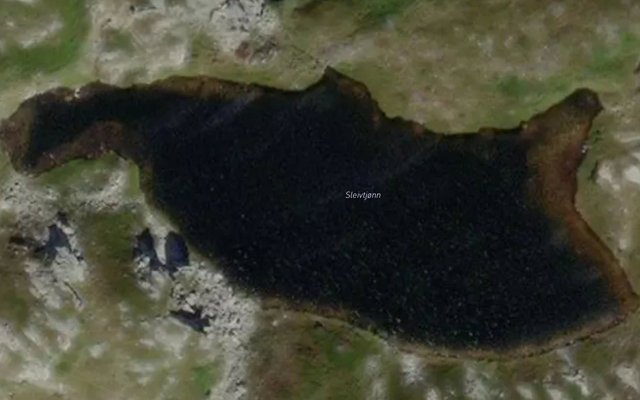 Sleivtjorn