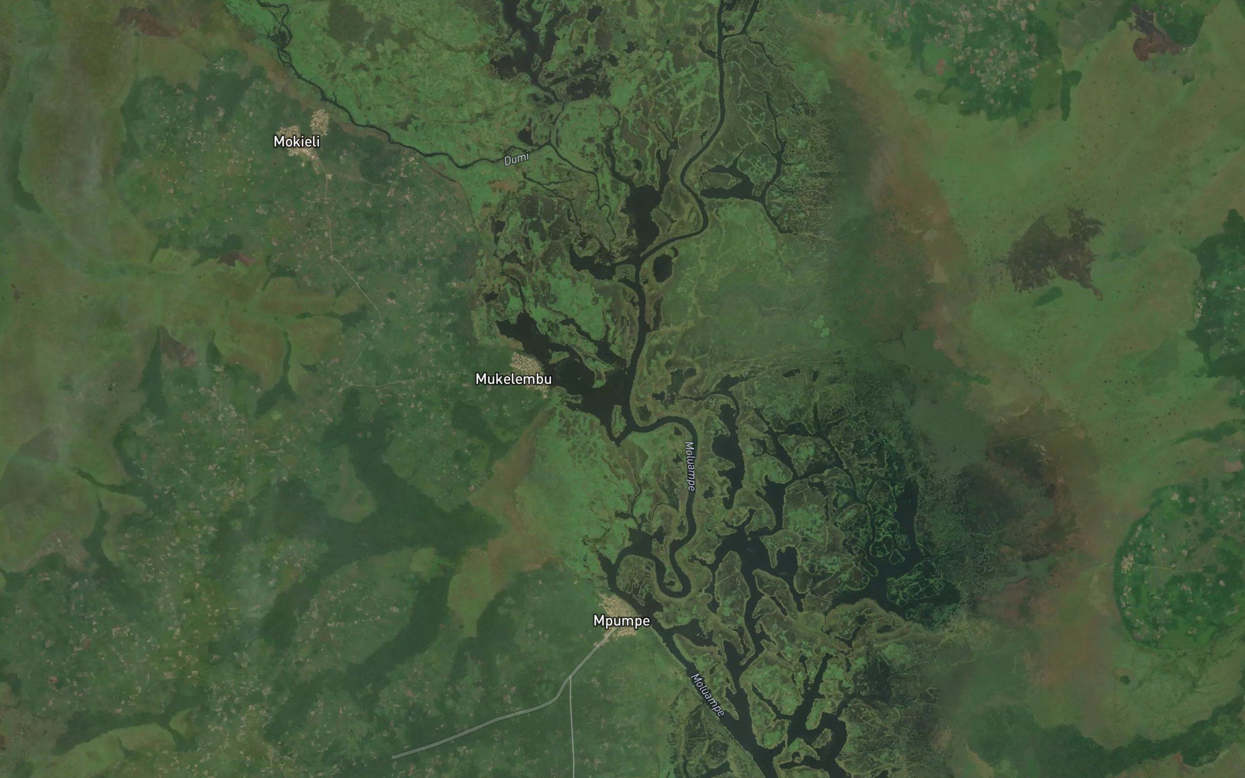 Dumi