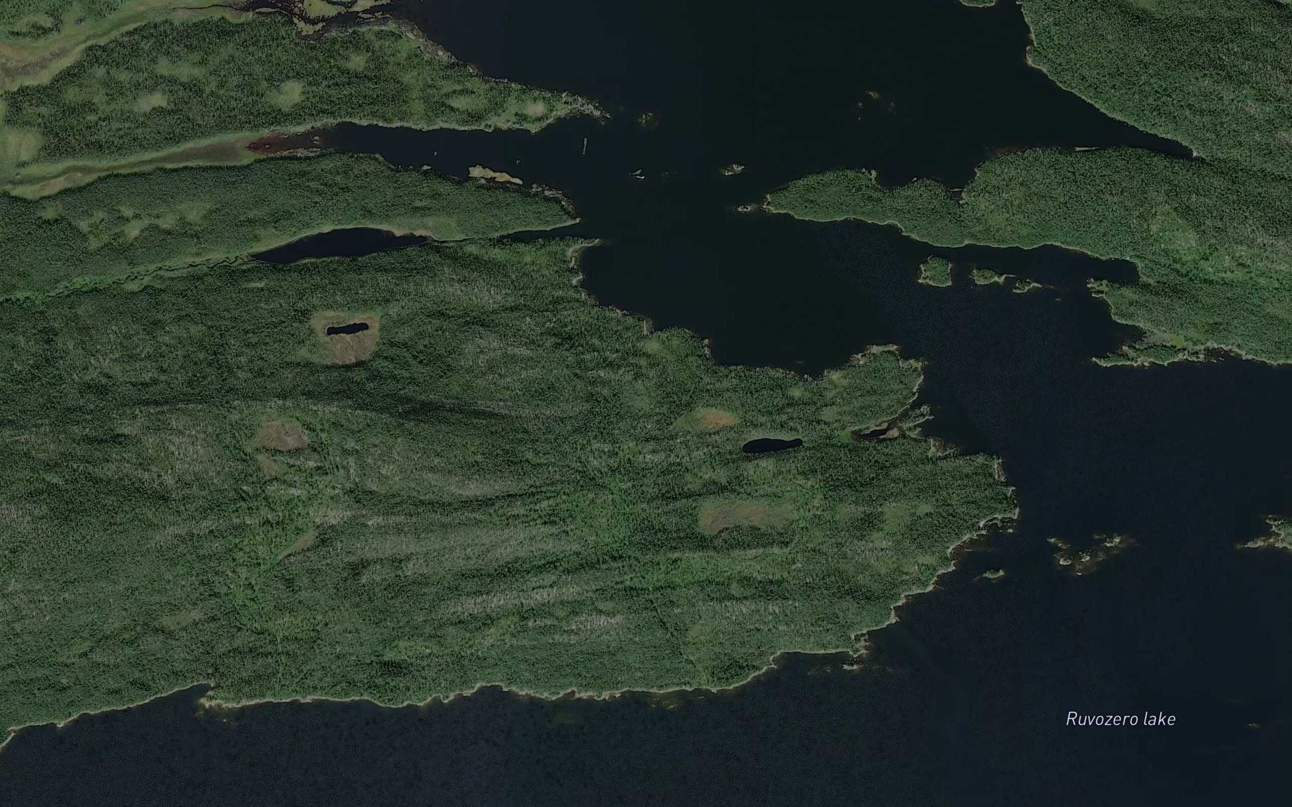 Koshkuti