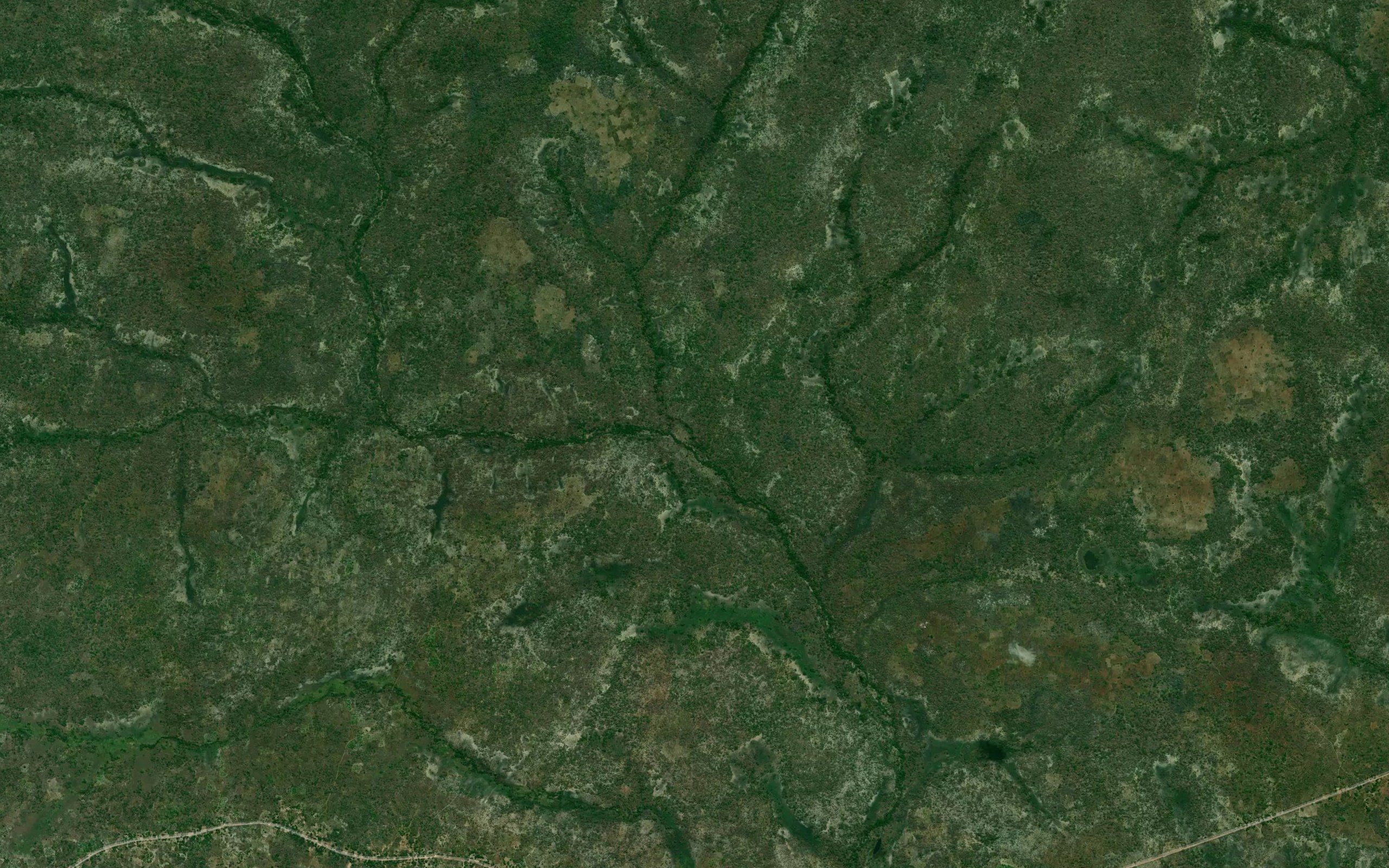 Naavarra