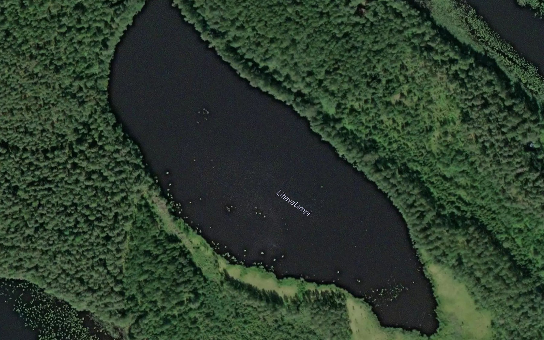 Satellite map of the Lihavalampi