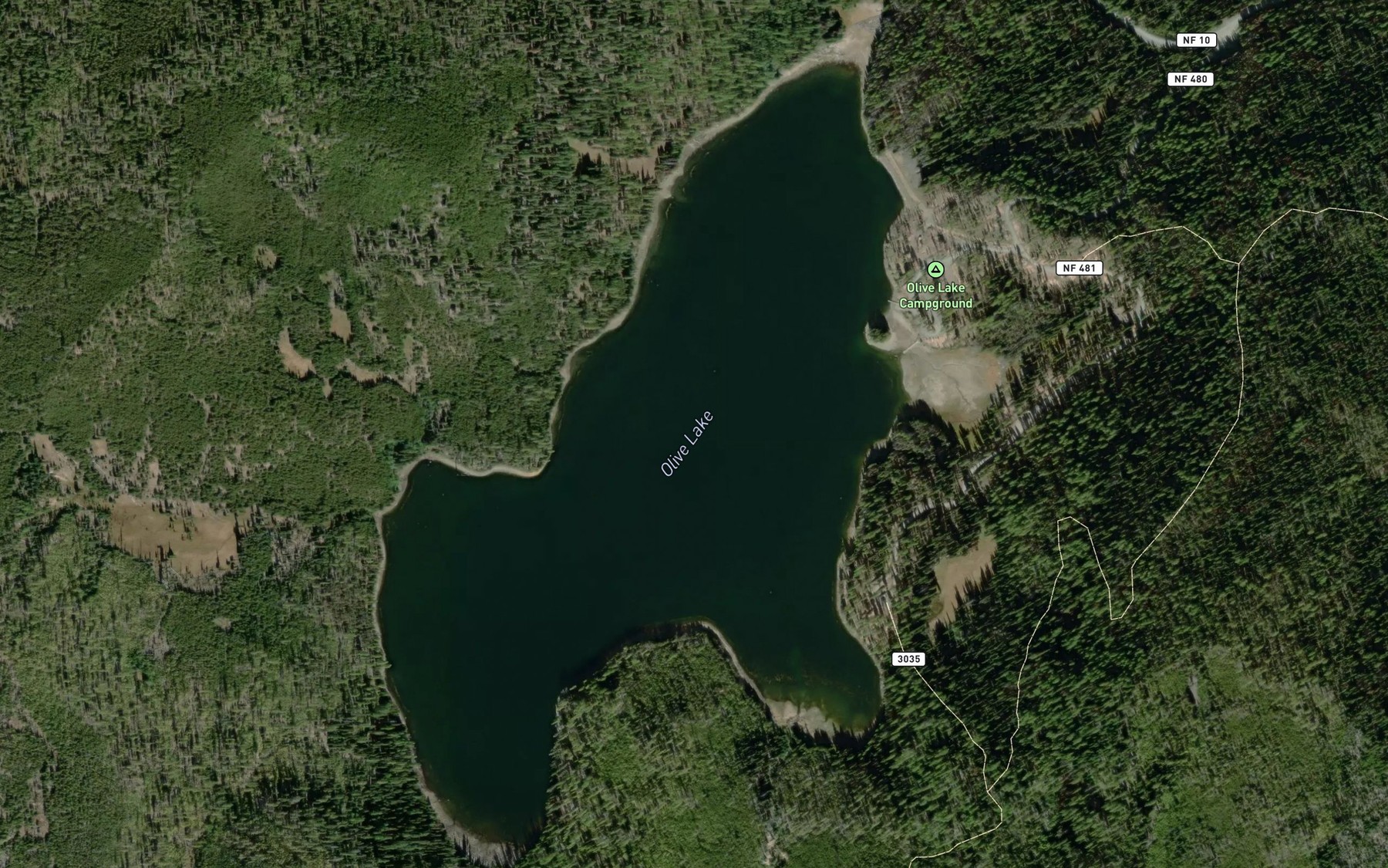 Satellite map of the Olive Lake