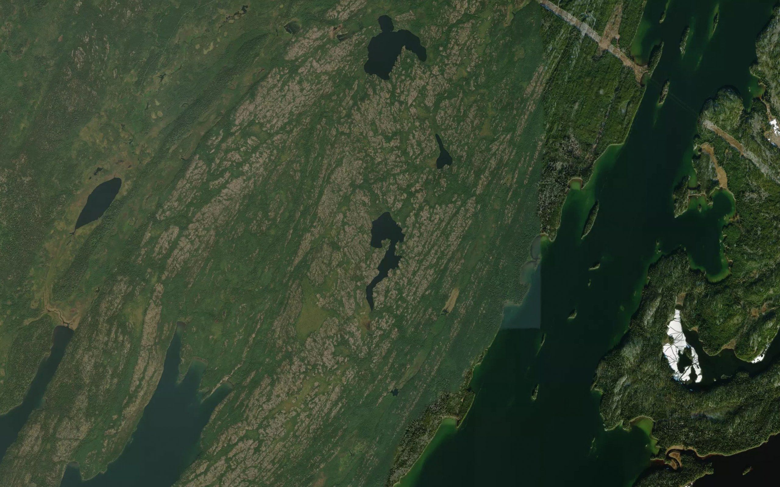 Harry Lake