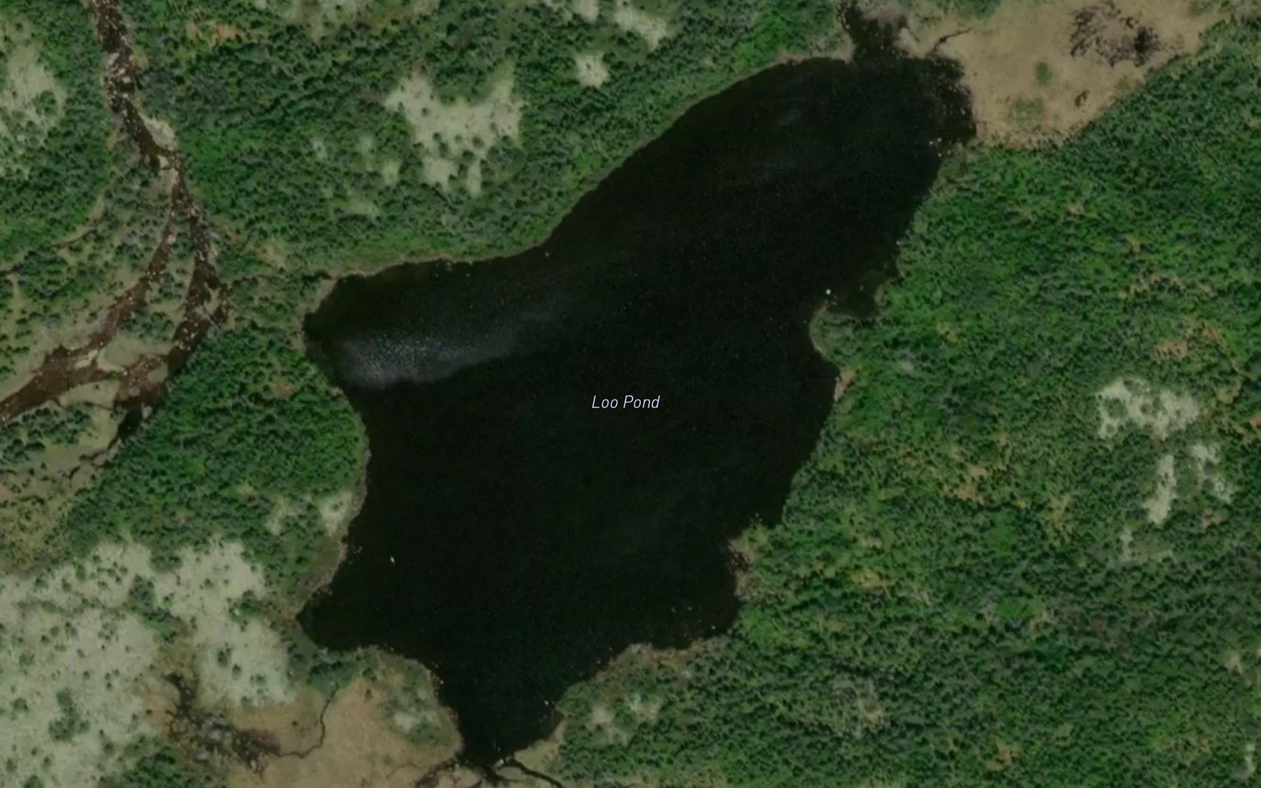 Loo Pond