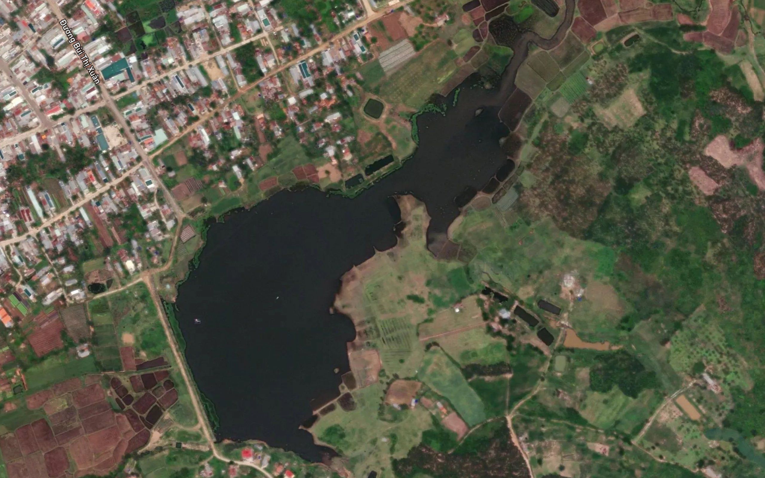 Ho Ben Tuyet
