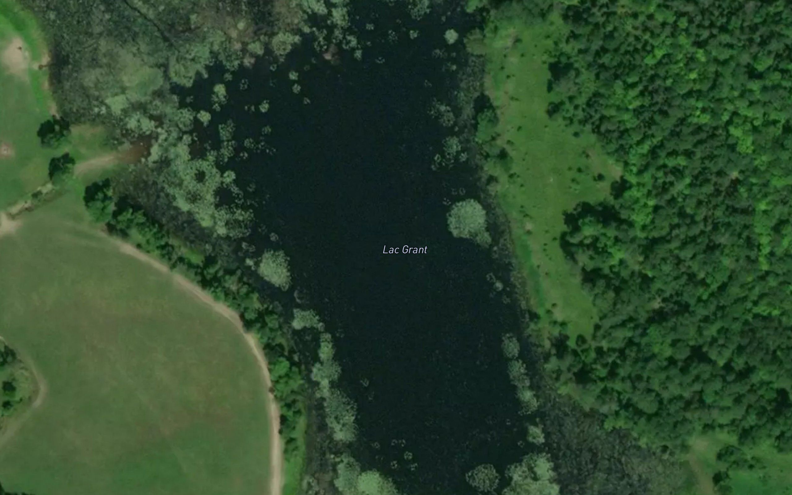 Lac Grant