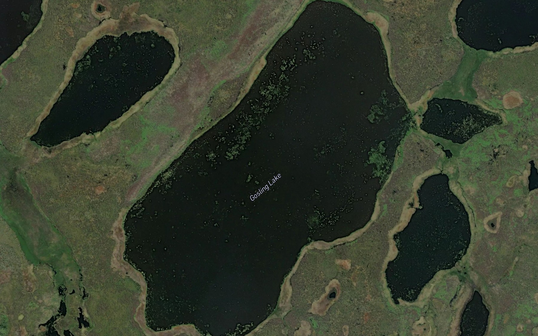 Satellite map of the Gosling Lake