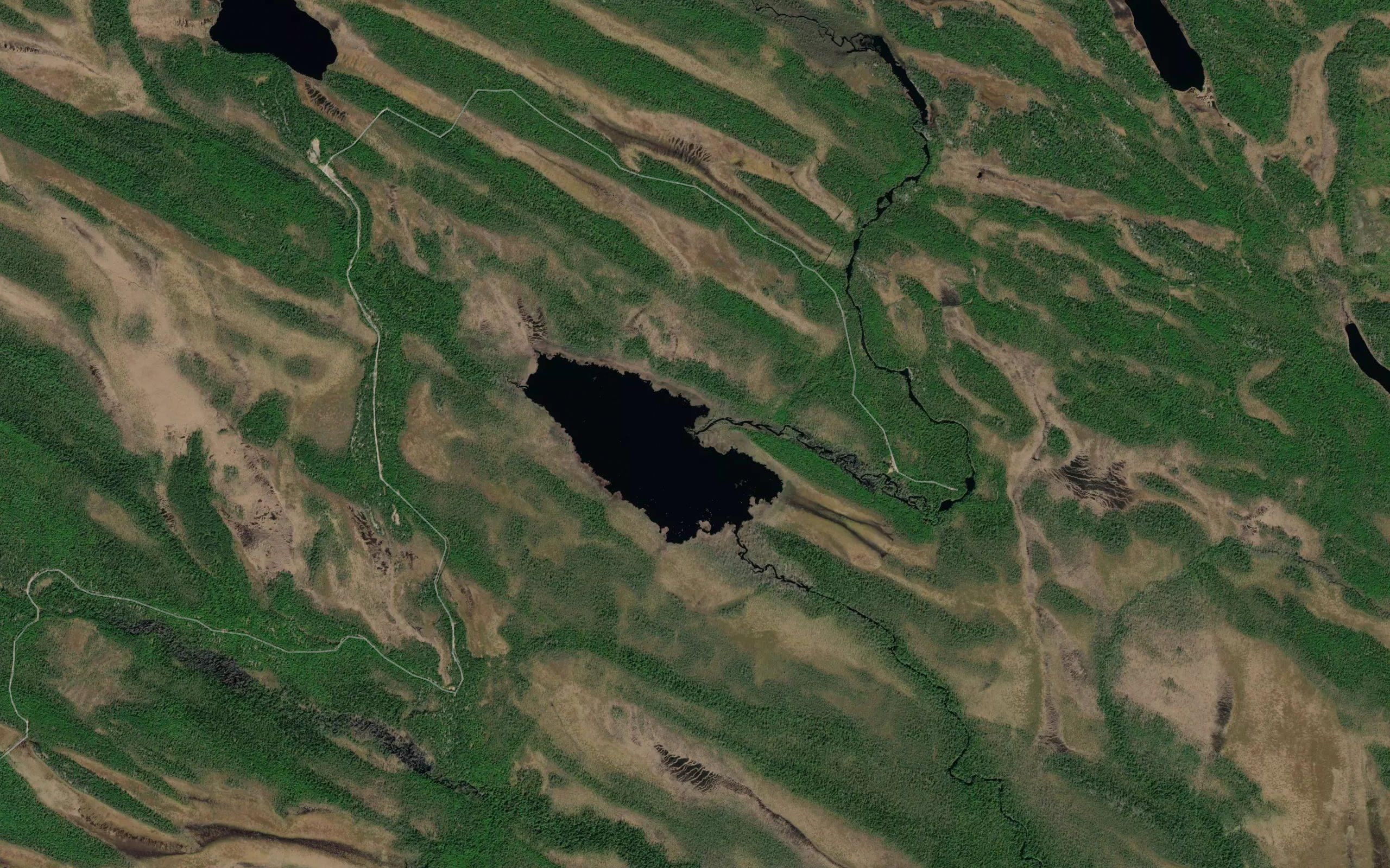 Dimitriya
