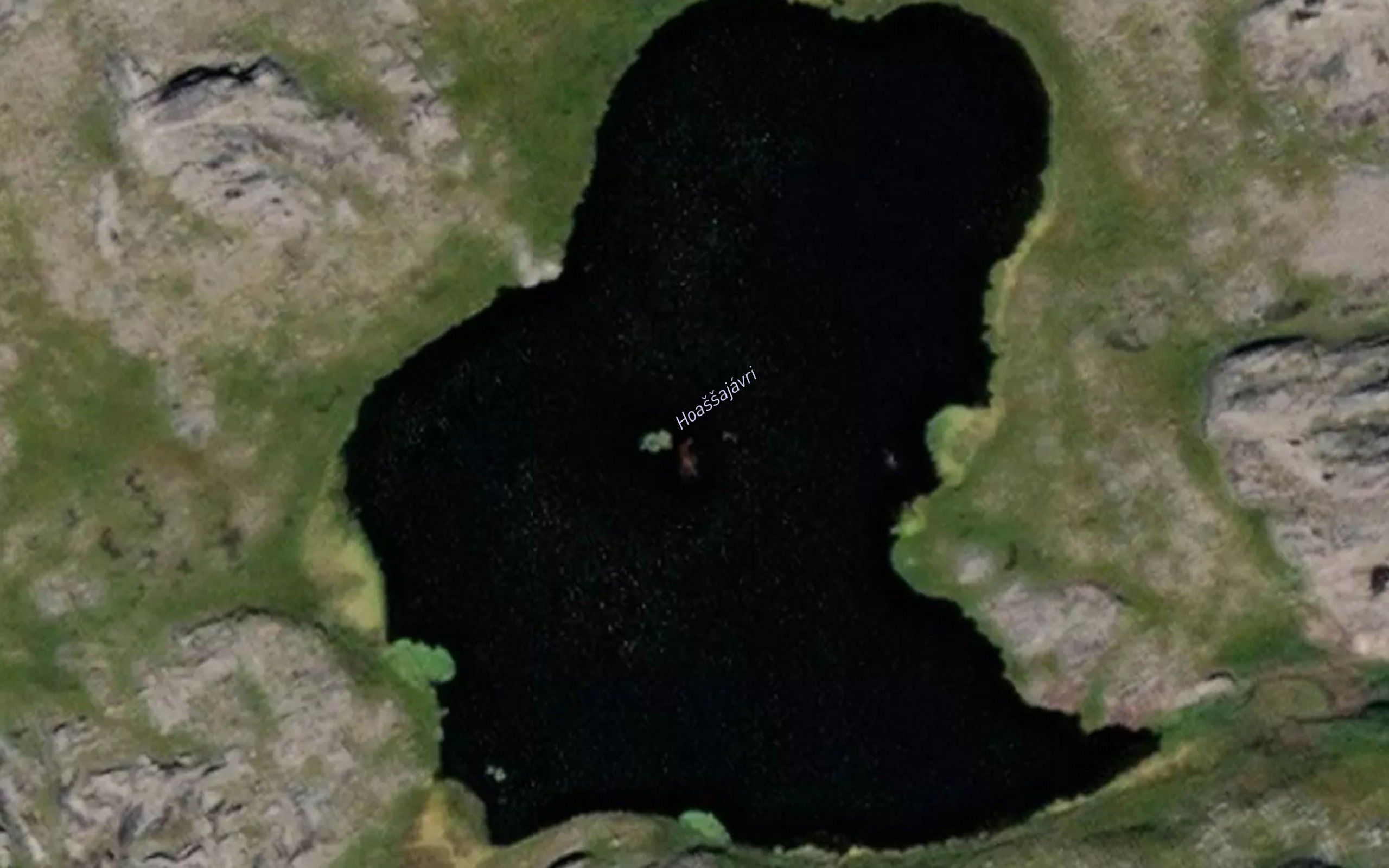 Hoassajavri
