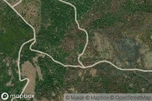 Sherer Spring