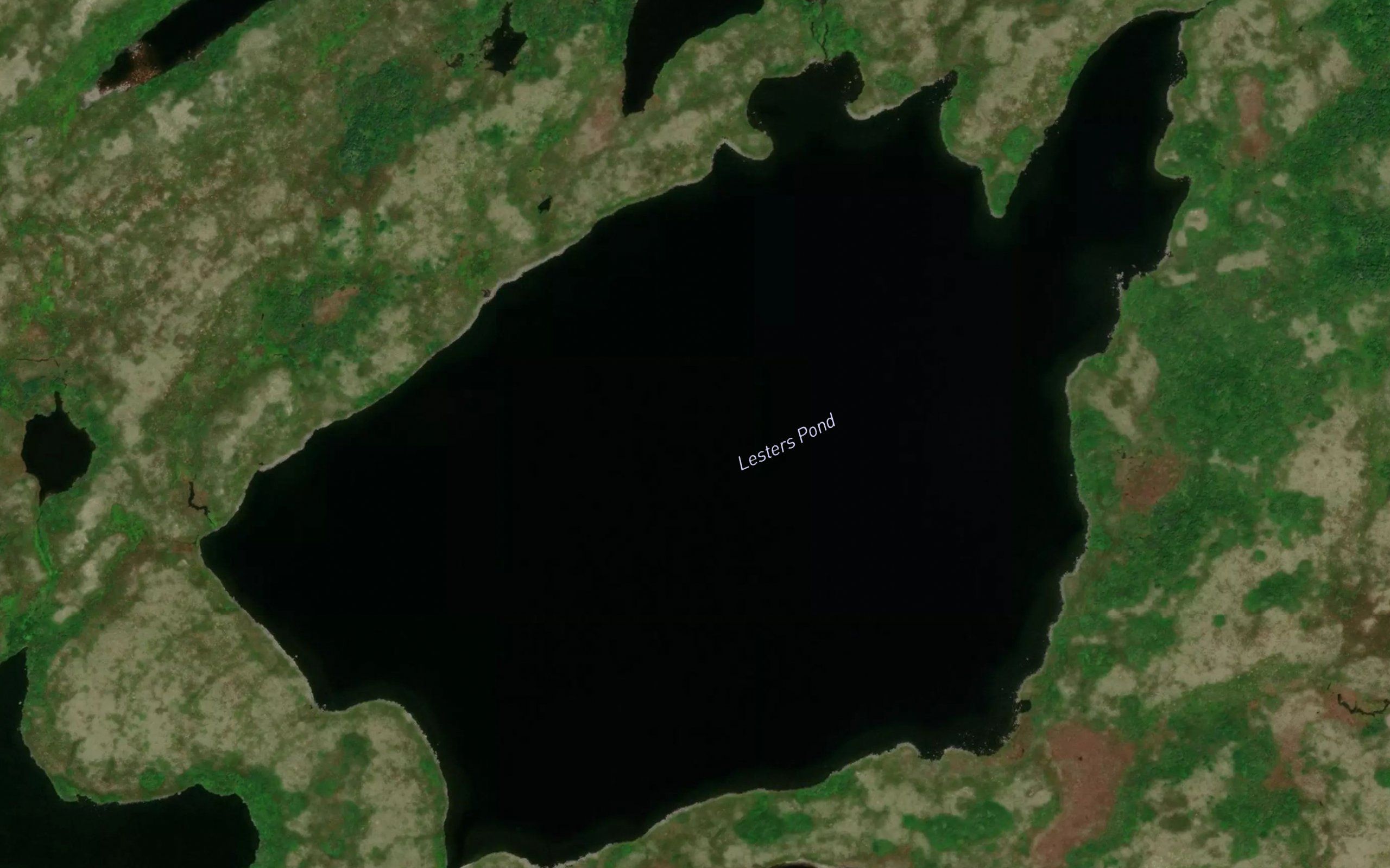 Lesters Pond