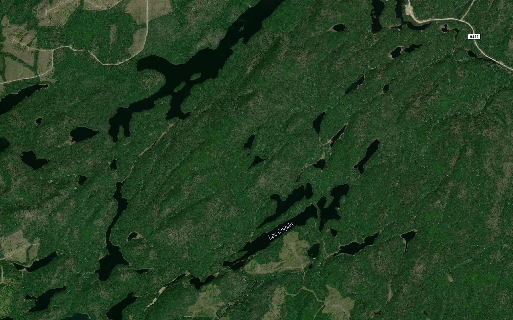 Satellite map of the Lac Brodie