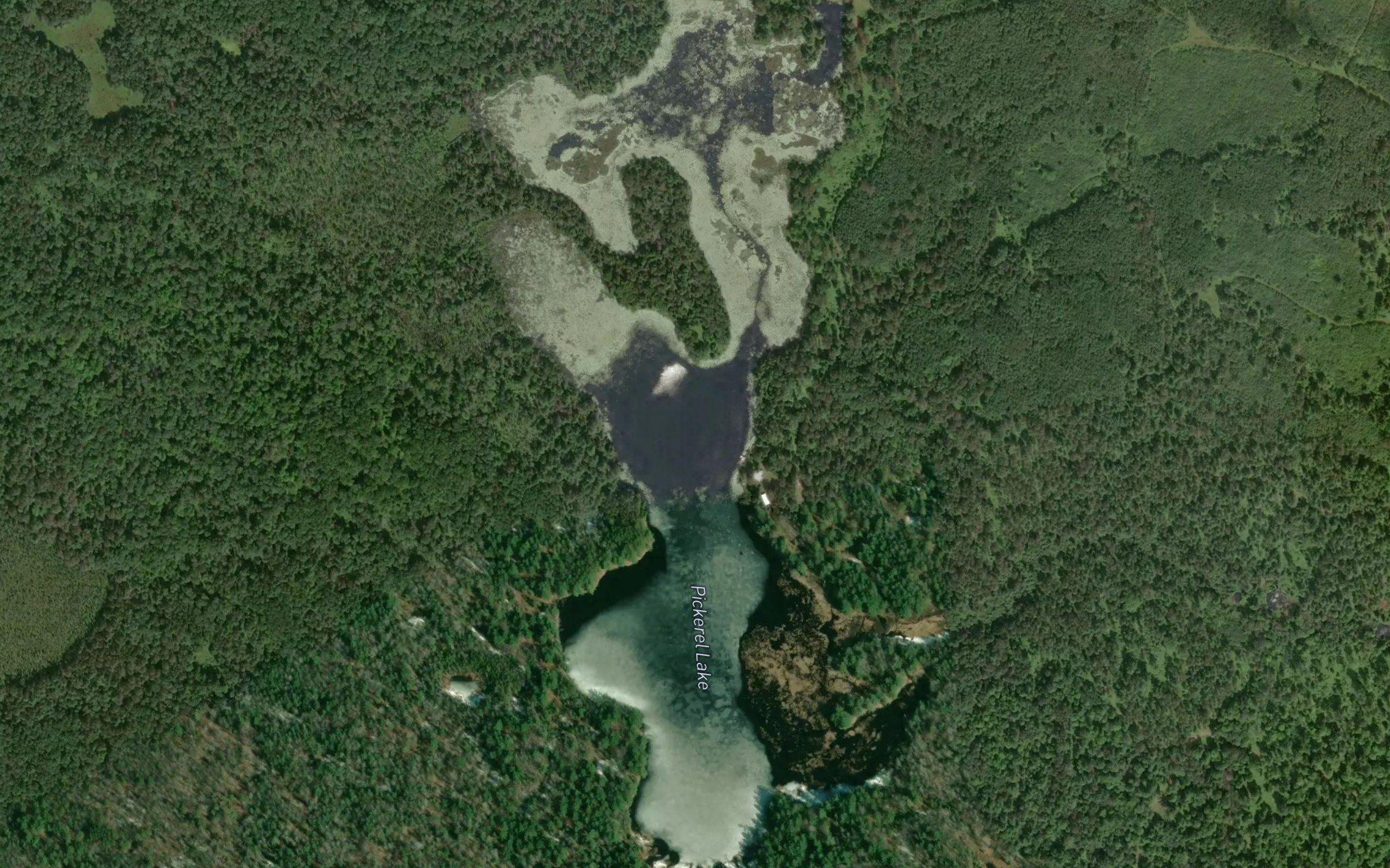 Pickerel Lake