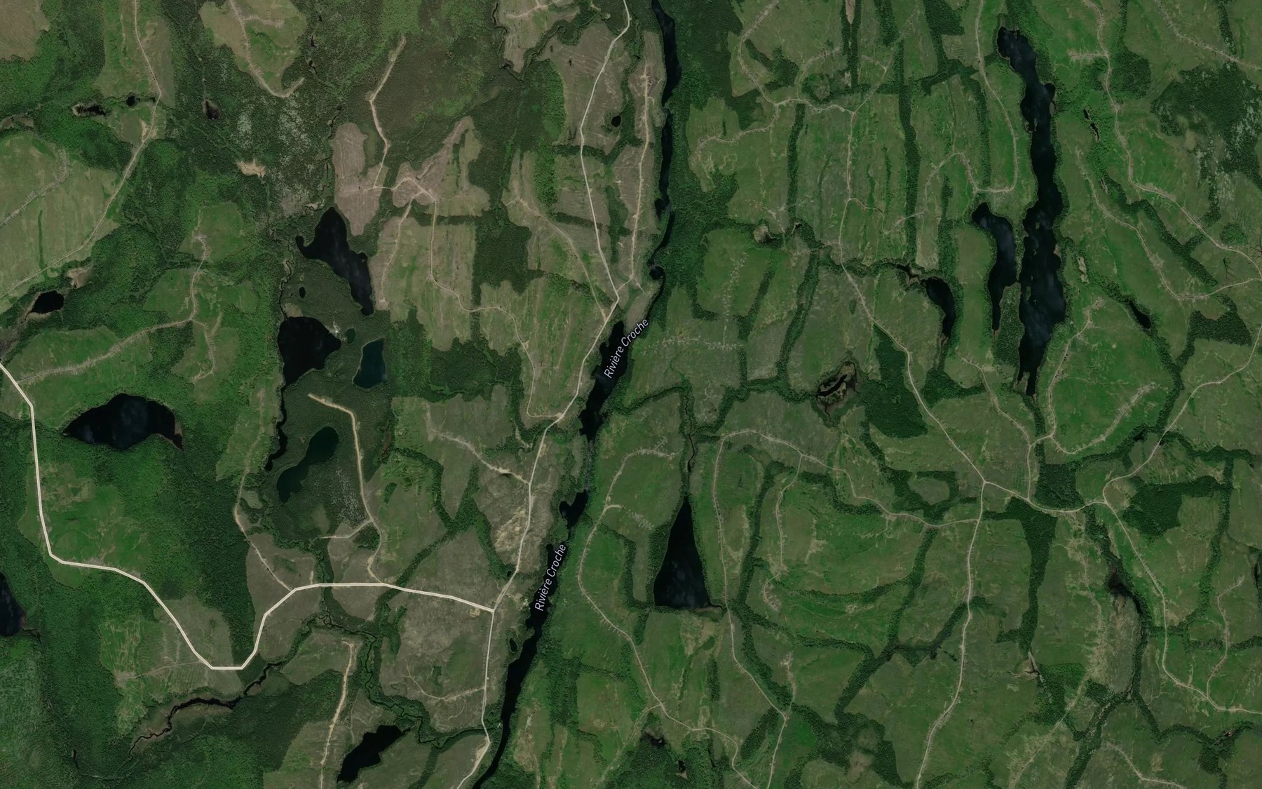 Satellite map of the Rapides Stone