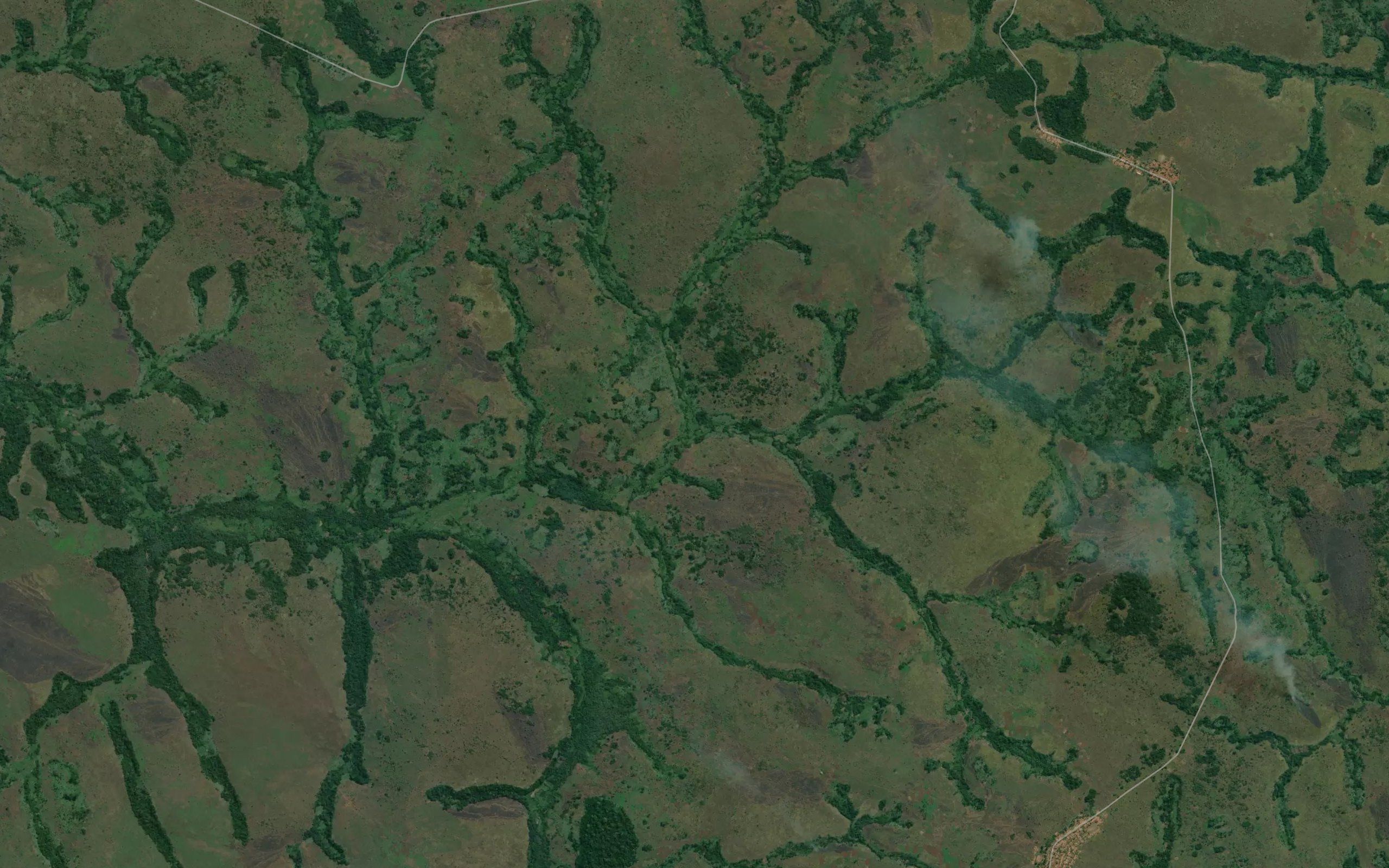 Ngweji