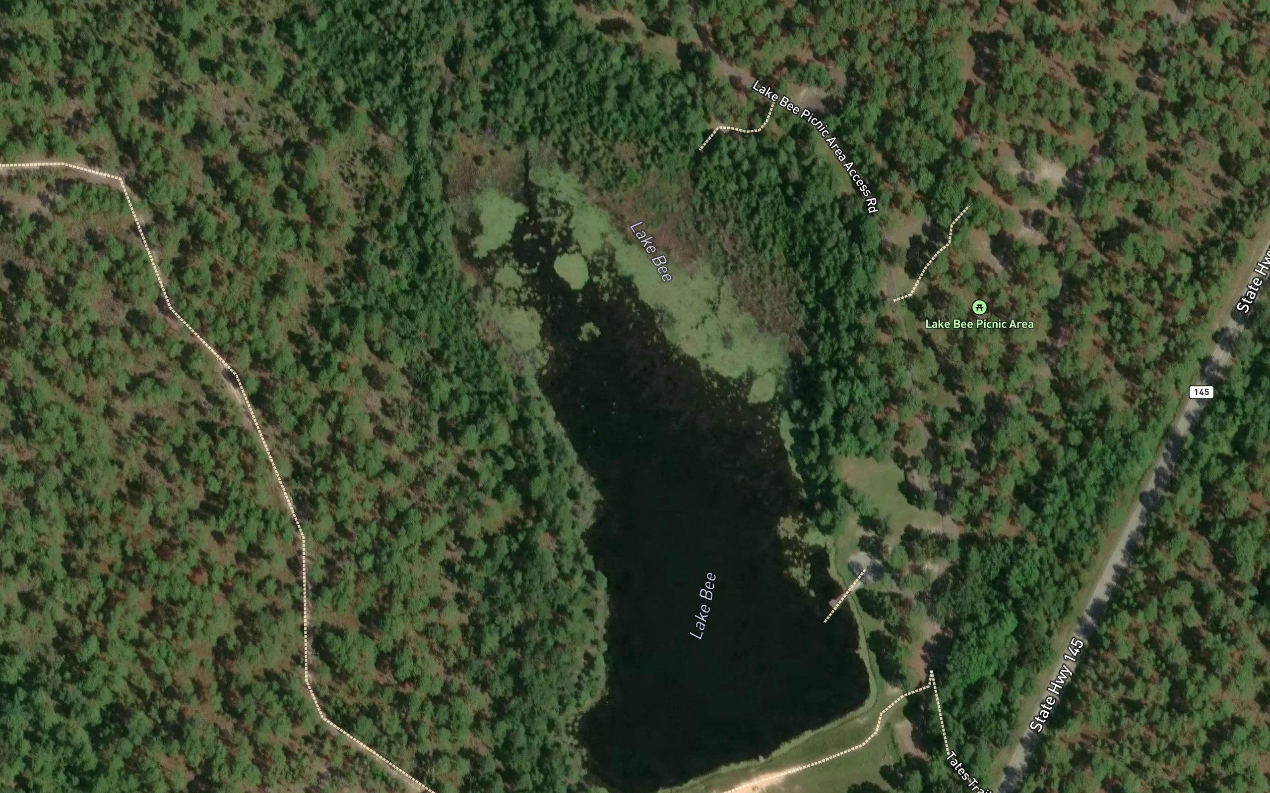 Lake Bee