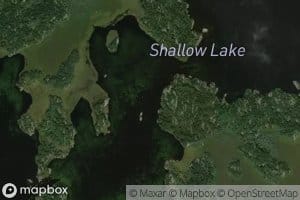 Shallow Lake